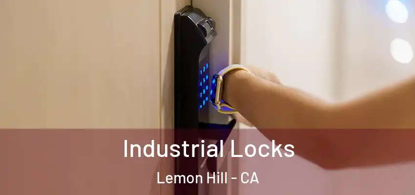  Industrial Locks Lemon Hill - CA